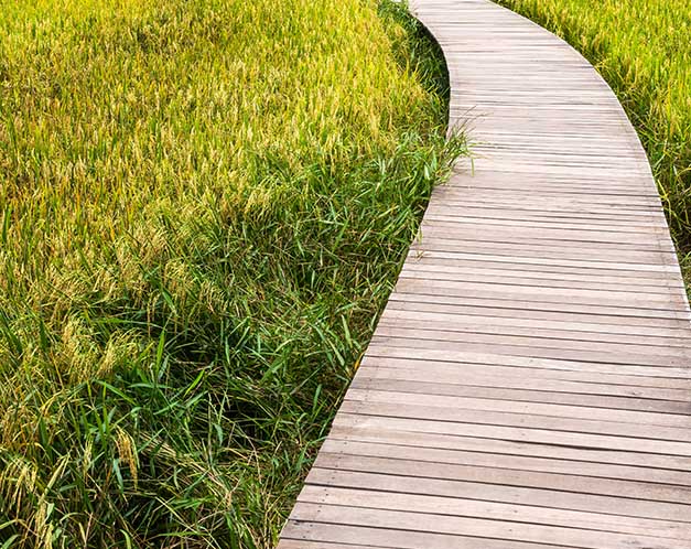 Leisure Pathway